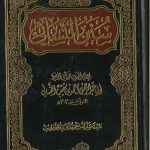 سنن النسائي