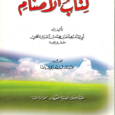 كتاب الأصنام