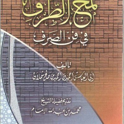 لمح الطرف في فن الصرف